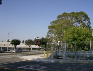Visitors to This Site Since July 4th 2007
